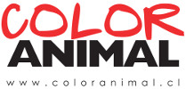 Color Animal