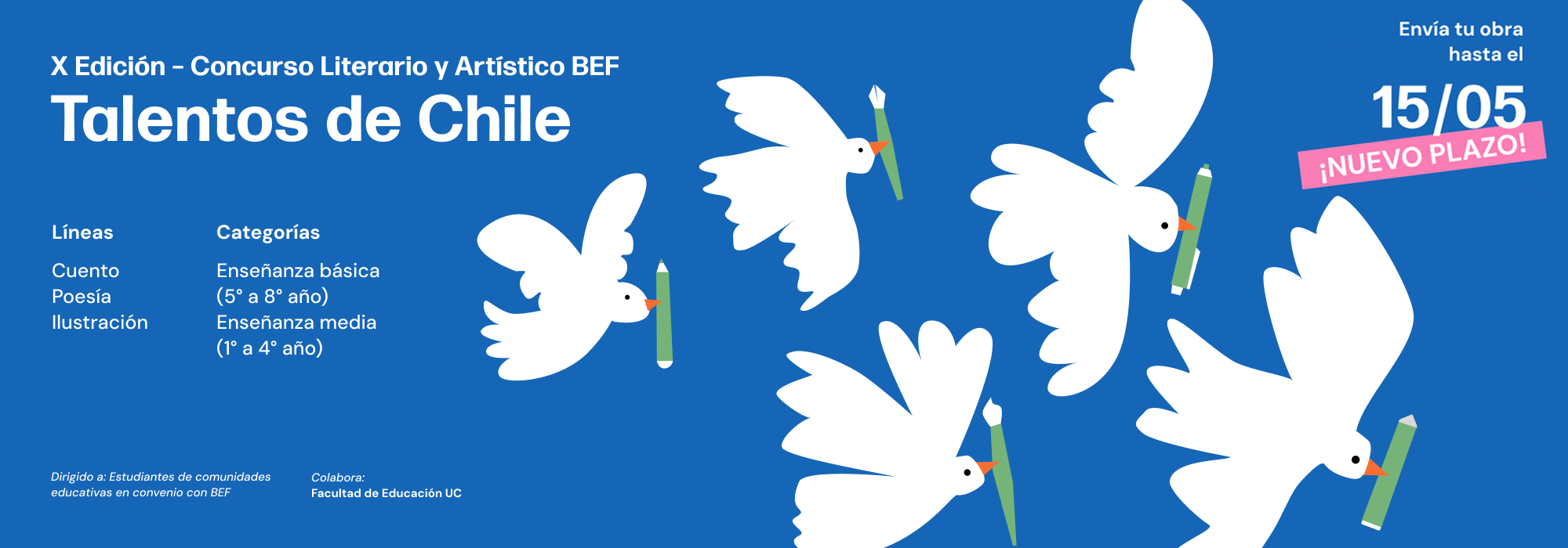 Biblioteca Escolar Futuro